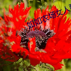 金年会 | 诚信至上金字招牌