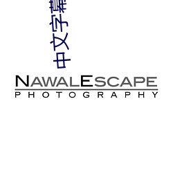 中文(文)字(字)幕手机在线