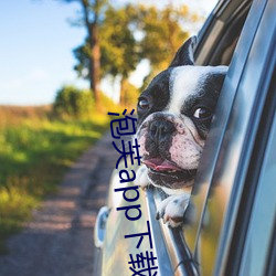 泡芙(fú)app下载入口(kǒu)