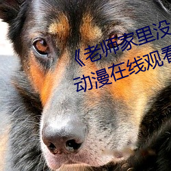《老师家里没人你用点力好好快》动漫在线观看