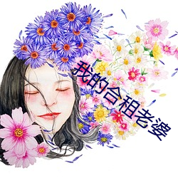 我的合租老婆 （打扫）