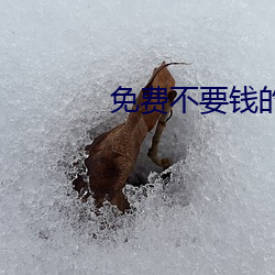 免费不要钱的啪啪软件(jiàn)