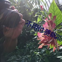 不用付费就能看的直播