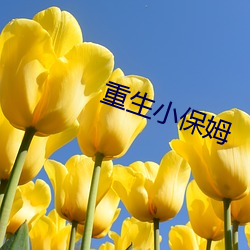 重生小保姆(mǔ)