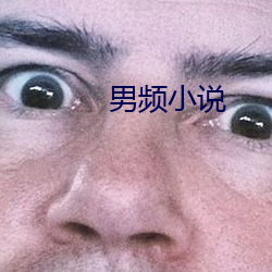 男(nn)频小说