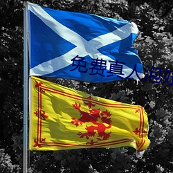 免费真人泡妞软件
