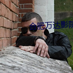 合(合)肥万达(達)影院
