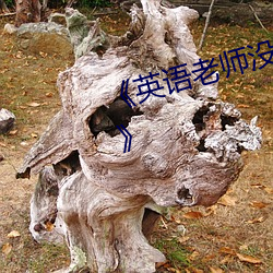 《英语老师没戴罩子让我(wǒ)捏一节课》