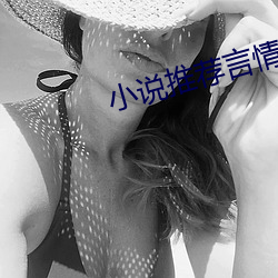 小说推荐言情 （定阅）