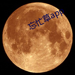 忘忙草app （诘诎聱牙）