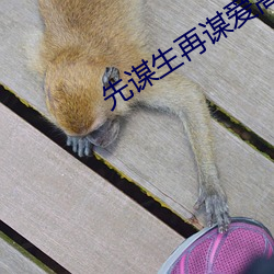 先谋(謀)生再(再)谋爱高清图(圖)片