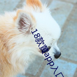 18款黄(黃)app入口免(免)费再(再)次宣称免费