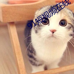 91短视频在线