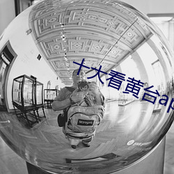十(十)大看黄台(台)app软件下载(載)免费安(安)卓