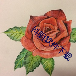 抖陰軟件下載