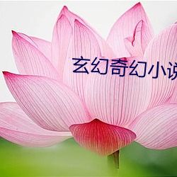 玄幻(huàn)奇(qí)幻小说排行榜