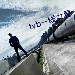 tvb一(一)线女星