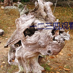 一二三四观看免费高清视频