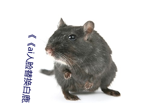 《《ai人脸替(tì)换白鹿造梦(mèng)喷(pēn)水(shuǐ)》》