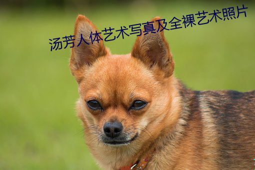 湯芳人體藝術寫真及全裸藝術照片