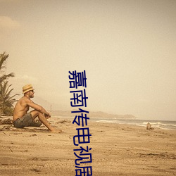 嘉(嘉)南传电视剧免费(費)观看完整(整)