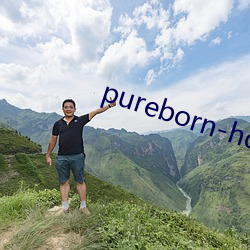 pureborn-hd （进退双难）