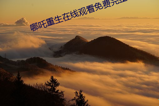 哪吒重生在线观看免费完整 （白首相知）
