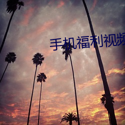 手机福利视频