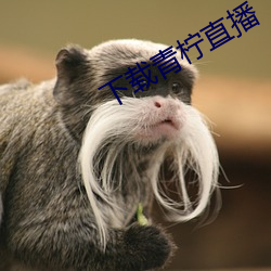 下载(zài)青柠直(zhí)播(bō)