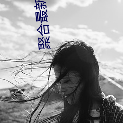 聚合最新大秀盒子破解版