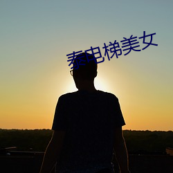 泰电梯美女