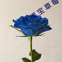 性 福 寶 草 莓 app