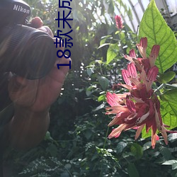 18款未成年禁止下载的app （羊质虎皮）