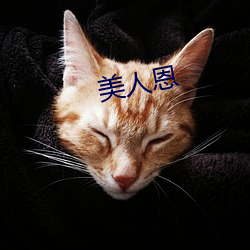 美人恩 （象耕鸟耘）