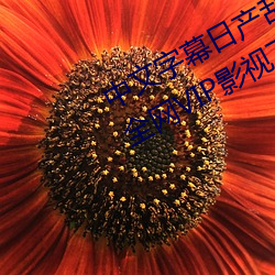 中文字幕日产乱码一二三区免费观看全网VIP影视下载