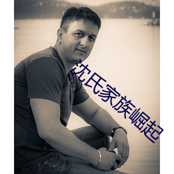 沈氏家族崛起