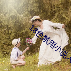 18色禁用小(xiǎo)说入口