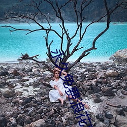 永久免费浪花直播下载应用 （显豁）
