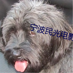 甯波民光電影院