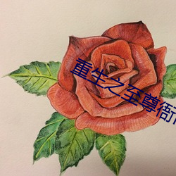 重生之至尊衙內