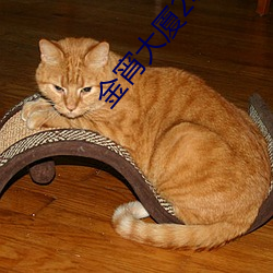 金宵(xiāo)大厦(shà)2粤语全集在线观