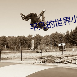 平凡(凡)的世界小说