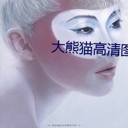 大熊(xióng)猫(māo)高清图片