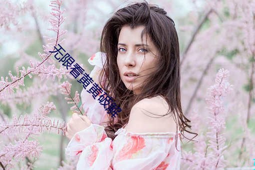 无限看(看)黄黄破解