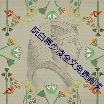 阮白慕少凌全文免费阅读