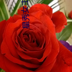 星秀女(nǚ)主播