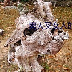 男人叉女人的bb视频