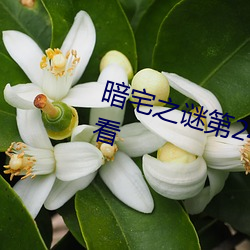 暗宅之谜第24集电视剧全集免费观看 （我负子戴）
