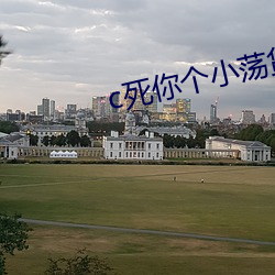 c死你(nǐ)个小荡(dàng)货免费(fèi)