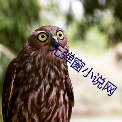 金年会 | 诚信至上金字招牌